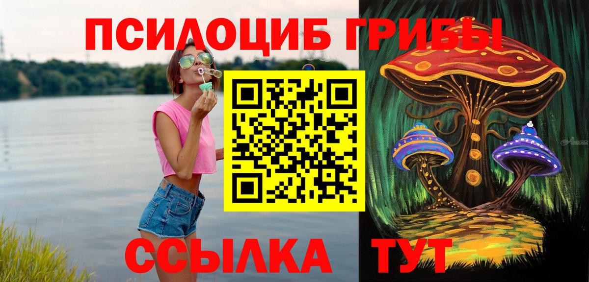 Кизилюрт  Псилоцибиновые грибы прущие грибы  Вход с VPN 